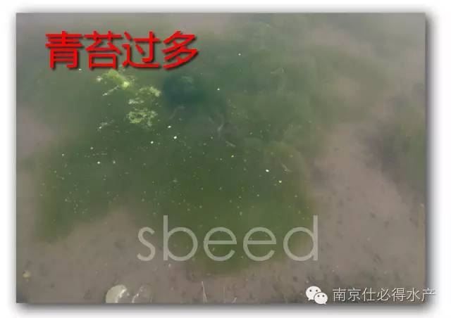中國養殖基地 yzjidi.com