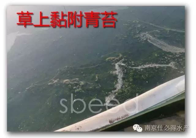 中國養殖基地 yzjidi.com