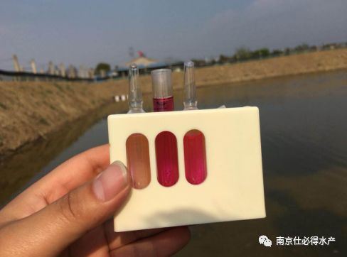 中國養殖基地 yzjidi.com