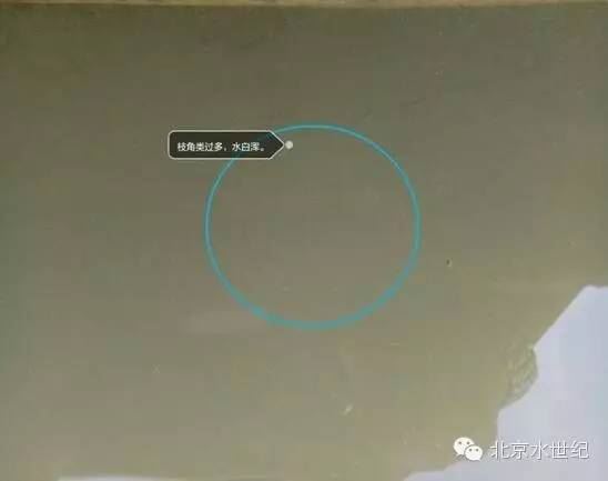 中國養殖基地 yzjidi.com