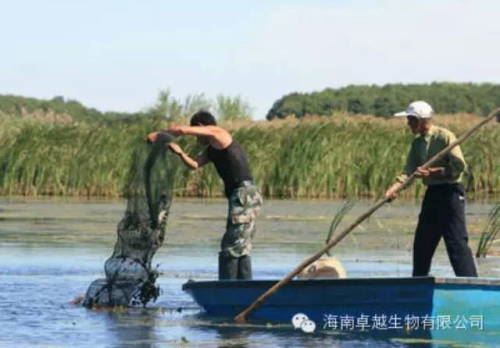 中國養殖基地 yzjidi.com