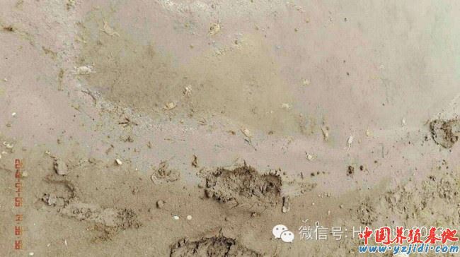 中國養殖基地 yzjidi.com