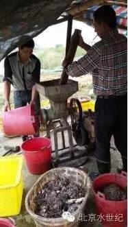 中國養殖基地 yzjidi.com