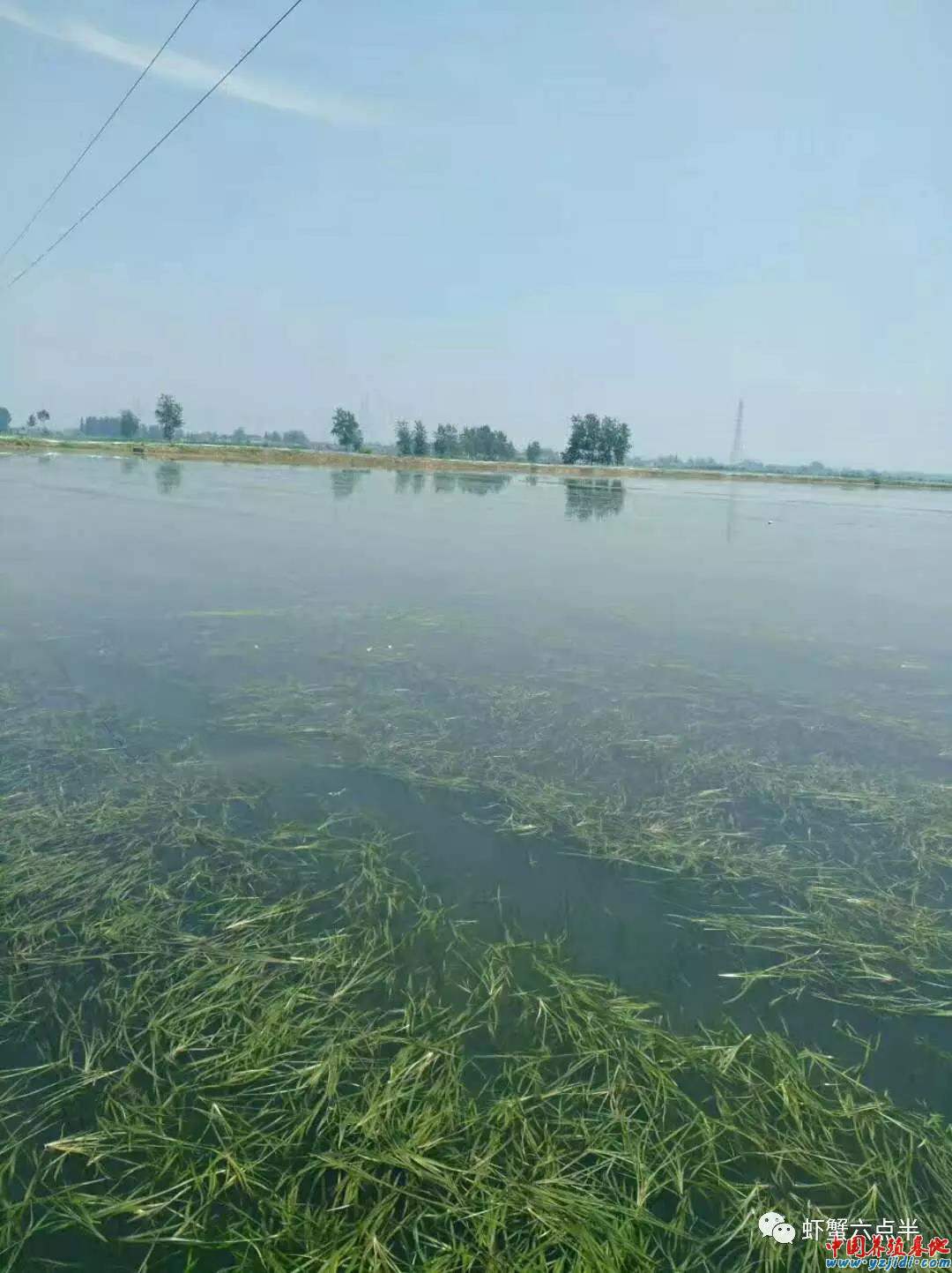 中國養殖基地 yzjidi.com