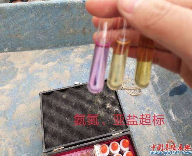 中國養殖基地 yzjidi.com